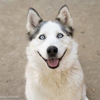 BELLA - Photo 1