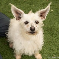 COCO - Photo 1