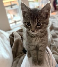 FINN - Photo 1