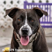 SWEETHEART - Photo 1