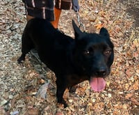 BETTY - Photo 1