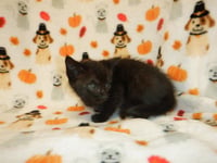A1414854 - Photo 1