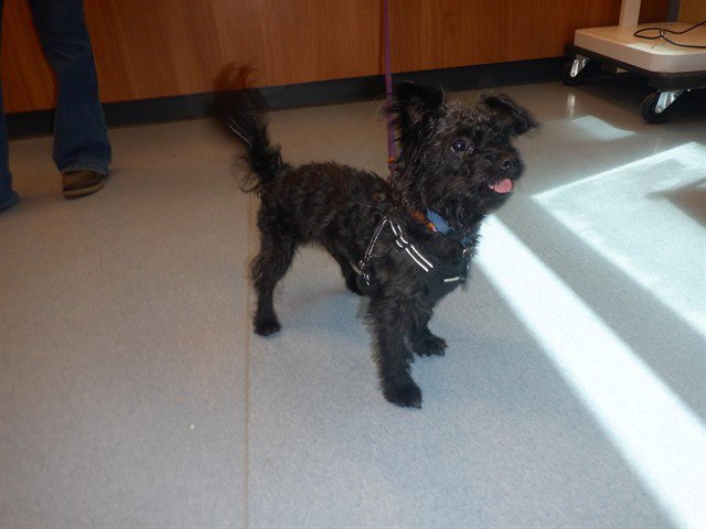 BENTLEY Image