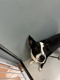 A1416406 - Photo 1