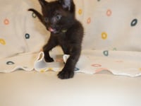 A1413924 - Photo 1