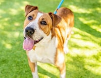 CHANCE - Photo 1