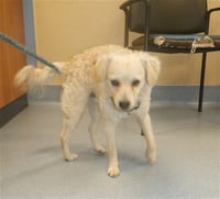 MAX - Photo 1