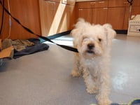 A1415198 - Photo 1
