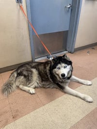 ZEUS - Photo 1