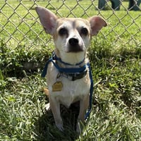 JACK JACK - Photo 1