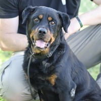 *DAPHNE - Photo 1
