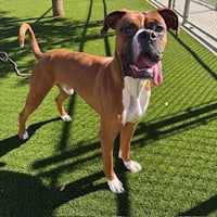 OTIS - Photo 1