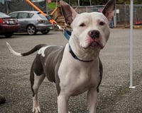 CASH - Photo 1