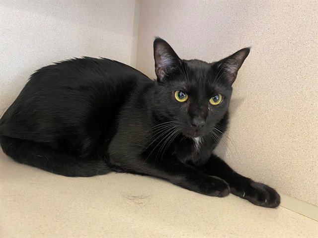 BINX Image