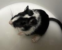 THELMA - Photo 1