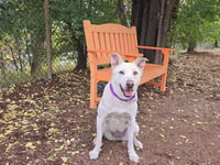 GRETCHEN - Photo 1