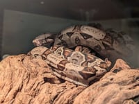 GHOST - Photo 1