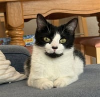 FREYA - Photo 1