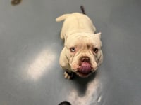 FLOTATO - Photo 1