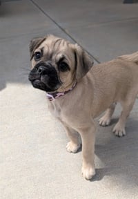 KEVIN JONAS - Photo 1