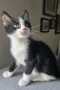 ERNIE - Photo 1