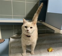 CHATTY CHARLIE - Photo 1