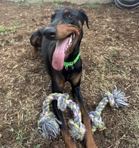 CLYDE - Photo 1