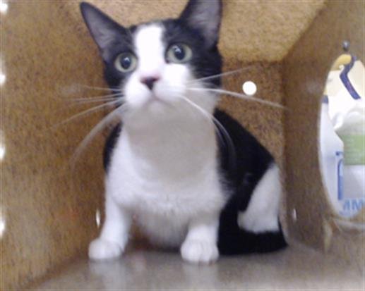 FRANNIE Image