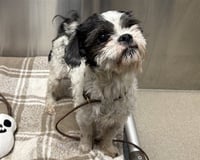 BARKULA - Photo 1