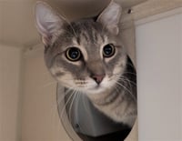 GREYGREY - Photo 1