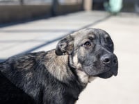 POWER POINT - Photo 1