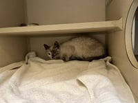 WENDY THE WELDER - Photo 1