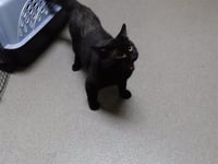 SKIPPY - Photo 1