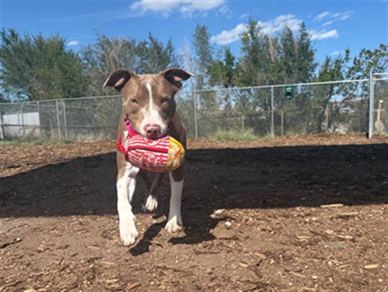 MJ Image