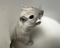 LOUISE - Photo 1