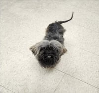 FRANKLIN - Photo 1