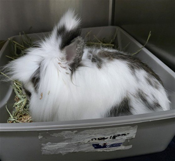 MARV Image