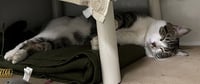 FROSTY - Photo 1