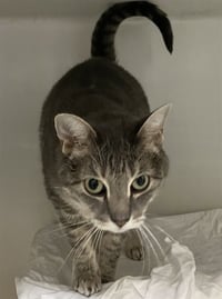 JO JO - Photo 1