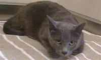*MERCURY - Photo 1