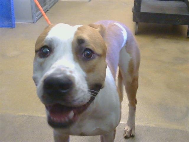 *ROSCOE Image