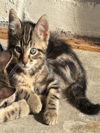 NED - Photo 1
