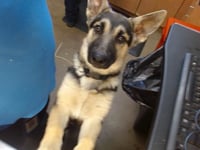 *ZEUS - Photo 1