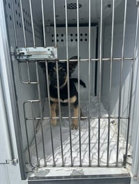 *TINY TOT - Photo 1