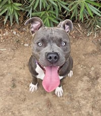 ROSCO - Photo 1