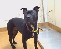 MISSY - Photo 1