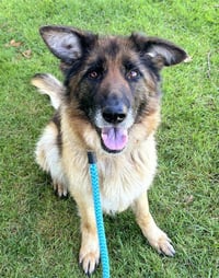 *VELMA - Photo 1