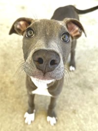 LILLIANA - Photo 1