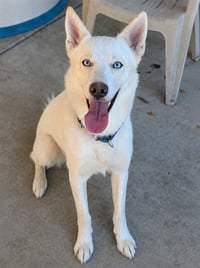 *TOFU - Photo 1