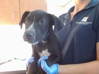 *MAUI - Photo 1